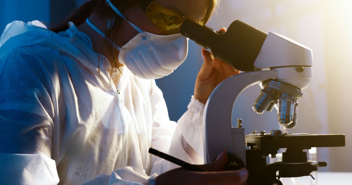 What Is Selank? A Research Overview of the Anxiolytic-Class Neuropeptide